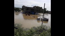 Flood in Mahanadi river in sambalpur Odisha . Affects Normal Life In Sambalpur