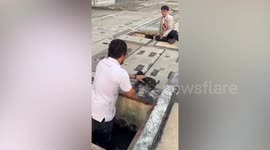Kind workers rescue puppy that fell into drain