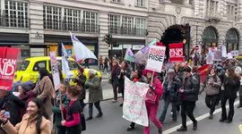 Millions Woman Rise March through central london for the yearly protest