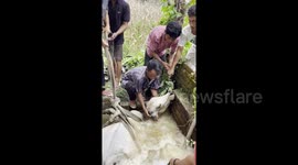 Cow and herdsman rescued after falling into a 17-foot-deep well