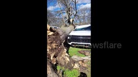 US: Dangerous Wind Conditions Knock Down Power Lines, Trees In Tennessee