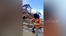 Outrage as tourist taunts wild monkey by faking punch at popular Chinese tourist spot