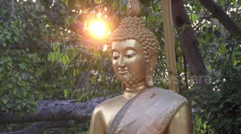 A dazzling sunset light shines through a bodhi tree, behind a Buddhist statue in Thailand.