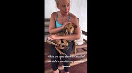 Aussie couple rescues stray dog due to be put down in Philippines