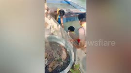 Kind boy scouts rescue stray dog stuck in dirty pond