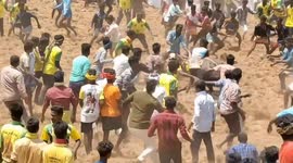 Footage shows ferocious bulls attack hundreds of bull tamers in India