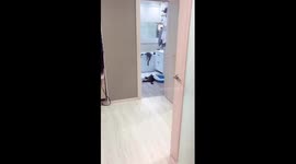 The dog lies funny on the bath and the cat calmly watches him!