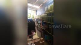 Water spills from aquariums during Philippines earthquake