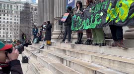 Speech at the Fridays For Future strike in New York, USA