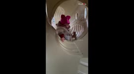Always say what you want! - Cute toddler learns new word as part of her vocabulary lessons