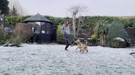 Influencer slammed for 'mistreating' her dogs hits back – saying Instagram career is 'fun' for the pets Part 1