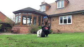 Influencer slammed for 'mistreating' her dogs hits back – saying Instagram career is 'fun' for the pets Part 2