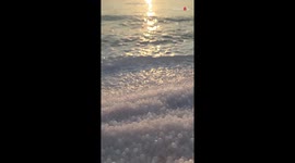 *Must Watch* Fascinating salt pearls on the Pearl Coast of Dead Sea at sunrise