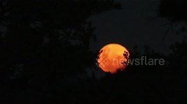 Stunning full 'Worm' moon rise filmed in the African wild