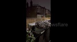 UK: Heavy Snow Hits Southern England, Yellow Warnings Issued Across Country 2