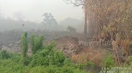 Heartbreaking moment wild elephant flees crop fire started by farmers in Thailand