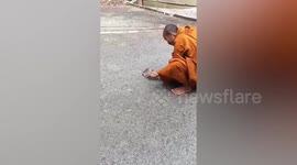 Kind Buddhist monk helps return lost turtle to pond in Thailand