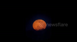 Worm Moon: March’s Full Moon Seen Across Night Sky