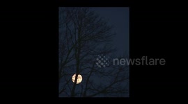Worm Moon: March’s Full Moon Illuminates Sky 2