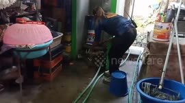 Brave snake wrangler catches aggressive spitting cobra in wet market