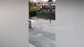 Harry Styles buys coconut juice before show in Bangkok, Thailand