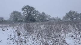 UK: Cold Snap Brings More Snow As Weather Warnings Cover Much Of Country 2