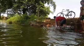 Two Indian Man Jumps Into Water in Slow Motion.  village swimming
