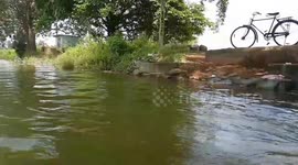 Village Indian  boys enjoying jumping on the  Pond .beautiful village life