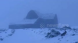 Ireland’s cold snap brings widespread snow, ice across country, warnings issued