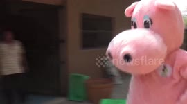 Zookeeper dresses as giant pink HIPPO to train for animal's escaping