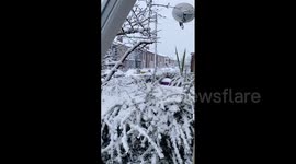 UK: Storm Larisa Batters Country, Amber Snow Warnings Issued For Several Regions 2