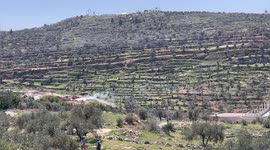 Palestinian protesters burn tyres and hurl stones towards Israeli forces in West Bank over outposts