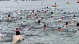 World's largest nude swim, on Sydney Harbour, Australia