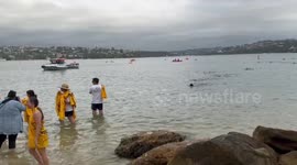 World's largest nude swim, on Sydney Harbour, Australia