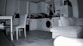Poltergeist In The Kitchen! Ghost Throws Cooking Spoon! Paranormal Activity