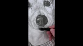 Pencil artwork created by Jessica Parkinson. This portrait took 8 hours to complete and was a commission for customer who wanted to honour their precious litte pooch.