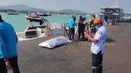 Missing Romanian tourist found dead two months after disappearing on Thai diving trip