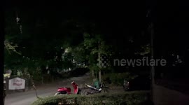 Friendly elephant family runs through tranquil village in the dead of night