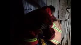 3-Meter-Long Python Invades Livestock Pen and Residential Area in Lampung Selatan, Dramatic Evacuation Takes Place