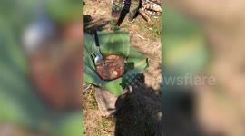 Weird Thai jungle soup cooked up in remote village
