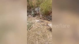 Concerned local follows crying sound to find puppies abandoned under rocks