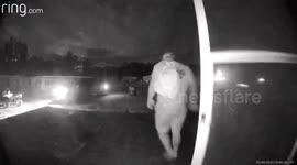 Woman shares HILARIOUS footage of husband getting wiped out on slippery porch