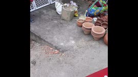 Roadside Pottery Shop Sambalpur Odisha  a women sell pottery on roadside in India