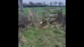 Don't can't figure out gate