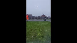 Dogs excited to see bin men