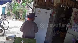 Monitor lizard runs through family's kitchen giving homeowners a fright