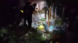 Huge 14ft king cobra caught in house in Thailand