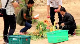 Zookeepers prepare delicious buffet for elephant on National Thai Elephant Day