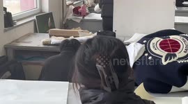 University students find out litter of kittens in drawer on the first day of school in China
