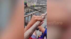 Hero residents rescue kitten drowning in dirty canal